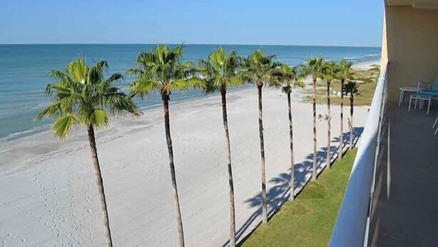 A beach view with palm trees and a clear sky. - Beachcomber unit 502 (Longboat Key)