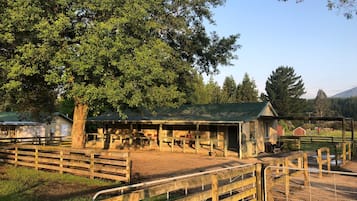 Horseback riding