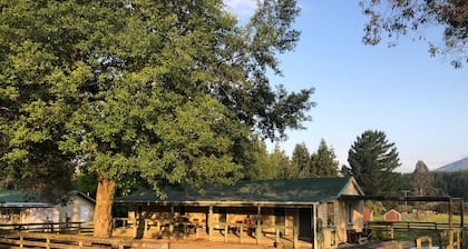 Mohaka River Farm - Campsite