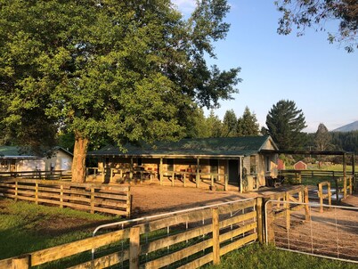 Mohaka River Farm - Campsite