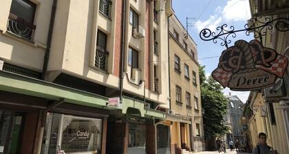 1Bd apartment in 150m from Trg Sloboda