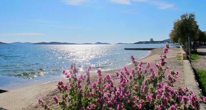 Ferienwohnungen Marinko, (16030), Vodice, hr