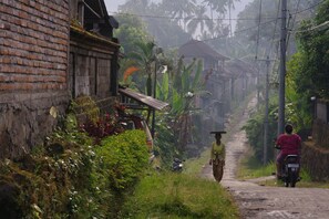 A narrow, unpaved road flanked by lush greenery and traditional buildings.
