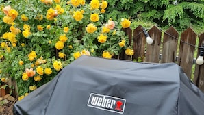 Una parrilla para barbacoa con el logo de Weber, rodeada de una valla de madera y rosas amarillas.