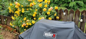 Outdoor banquet area