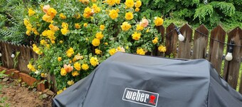 Daegu House - Hostel