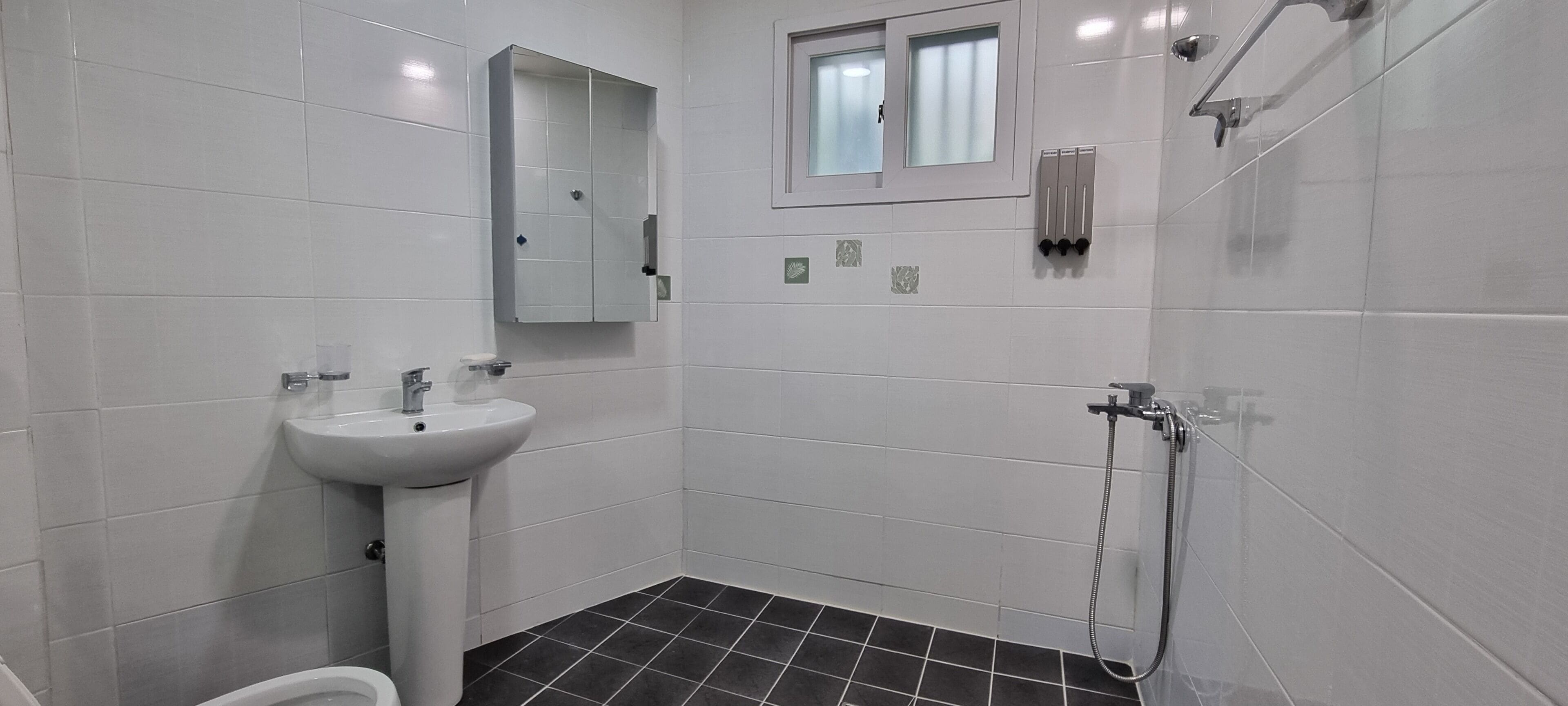 Dormitorio compartido, solo para mujeres (Up to 2) | Baño | Regadera, secadora de cabello, toallas, jabón 