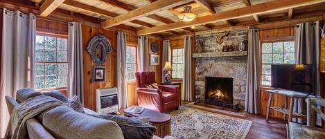 Smart TV, fireplace, books