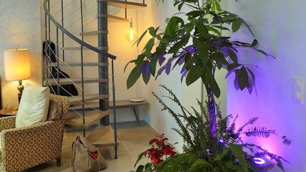 A spiral staircase, a patterned armchair, a lamp, a plant, and a bag. - Duplex garden terrace in the heart of Juan-les-Pins. 6/8 people. (Antibes)