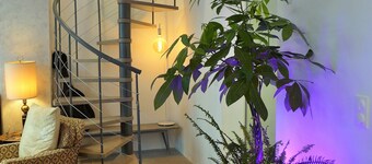 Duplex garden terrace in the heart of Juan-les-Pins. 6/8 people.