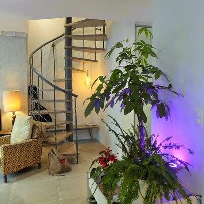 Duplex garden terrace in the heart of Juan-les-Pins. 6/8 people.