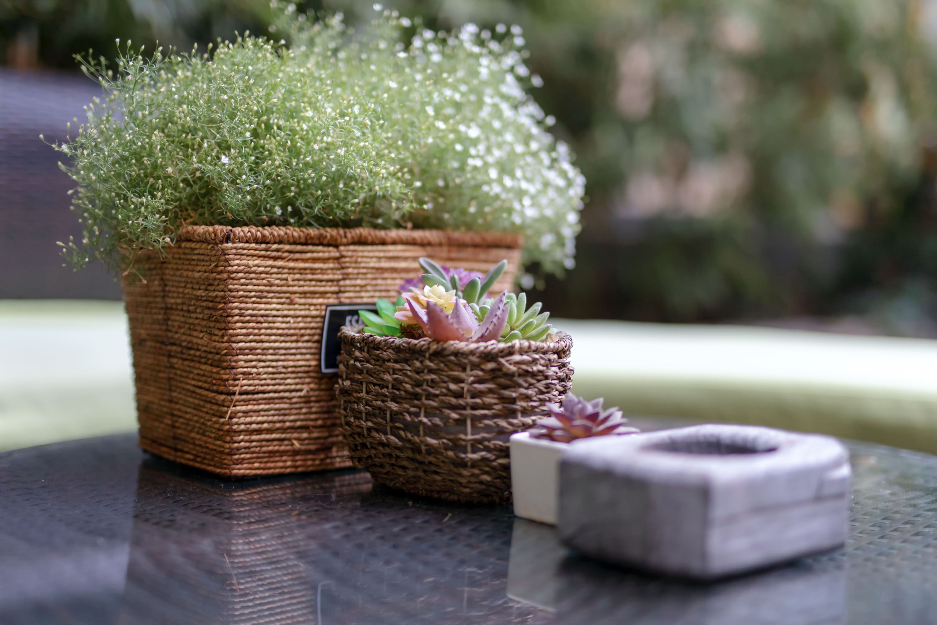 A small woven basket with a succulent plant on a glass table.