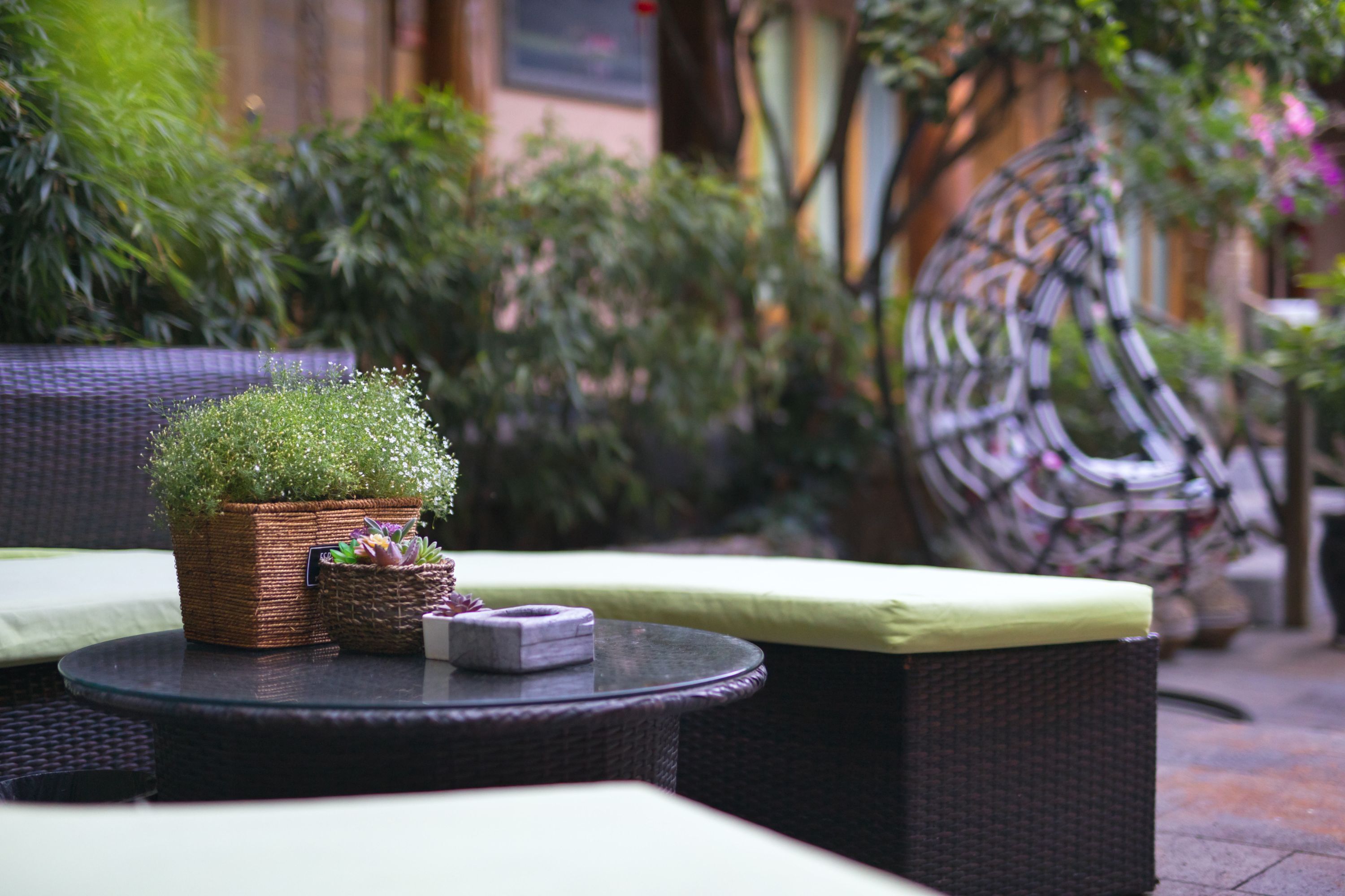 Un área de estar al aire libre con muebles de mimbre y una pequeña planta en maceta.