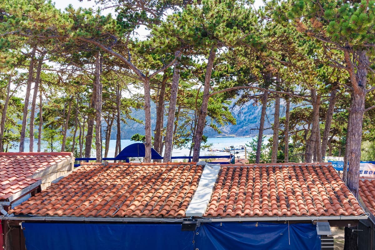 A row of cabins with terracotta roofs, surrounded by pine trees and overlooking a body of water.