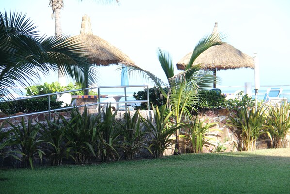 Un resort tropical con sombrillas de techo de paja, palmeras y vistas al océano.