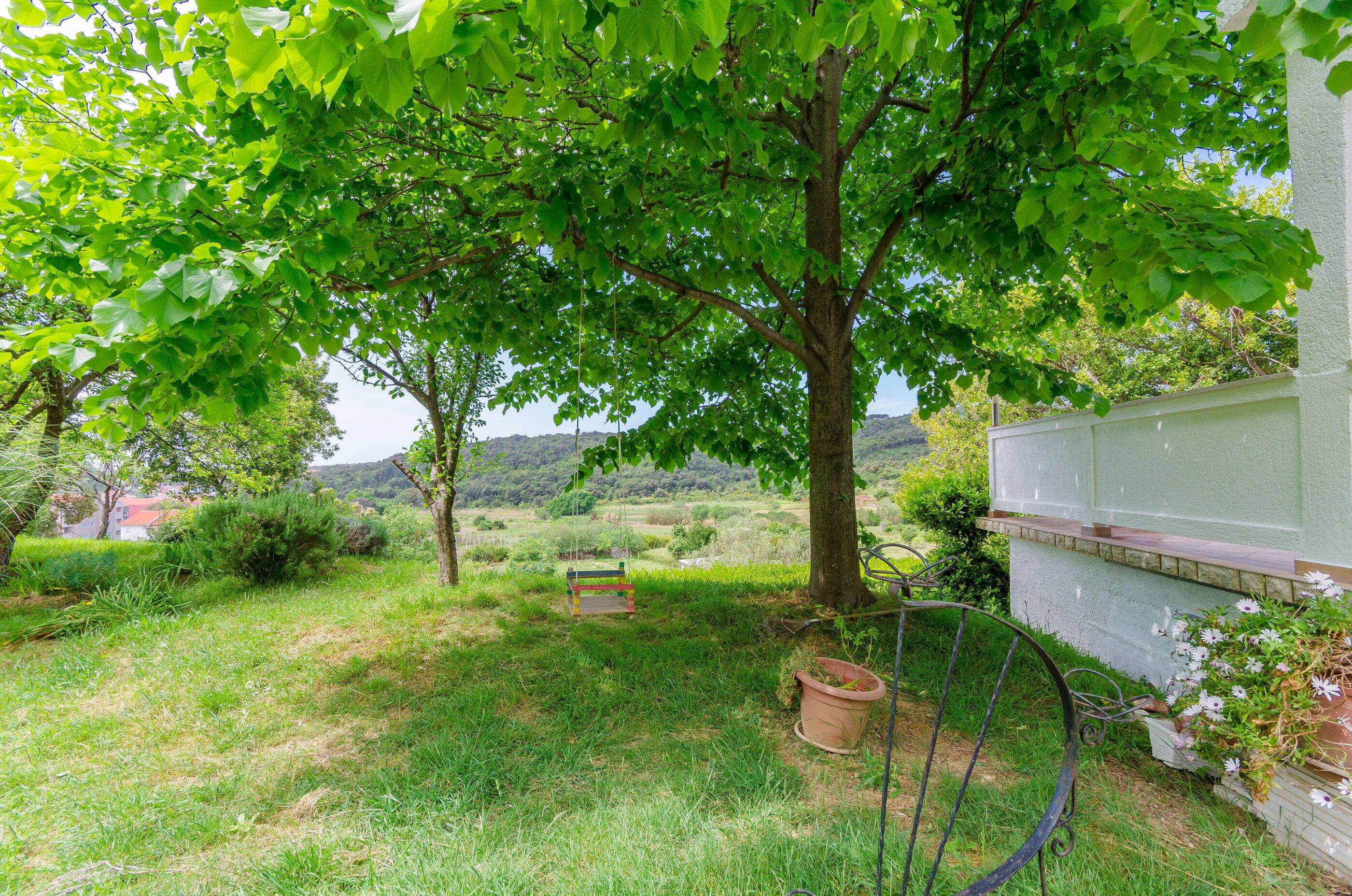 Un jardin avec un banc, un arbre et une maison en arrière-plan.