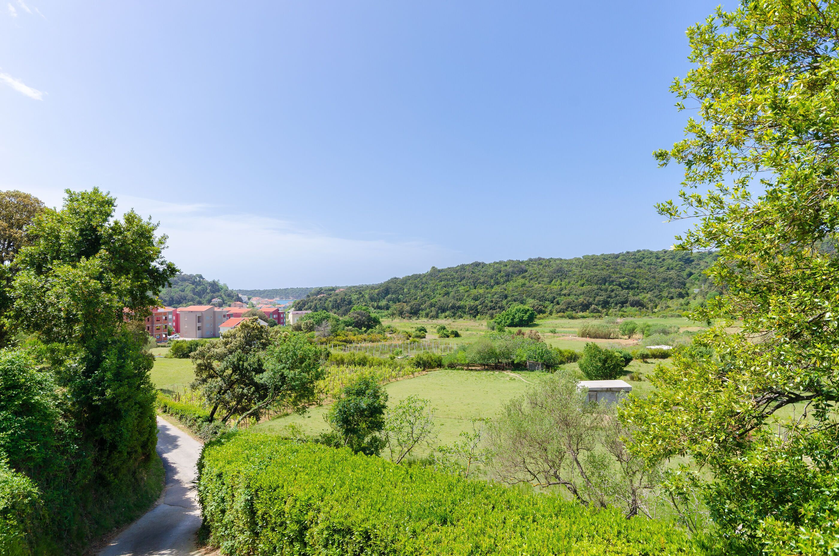 A rural landscape with a road, greenery, and a building with red roofs in the distance.