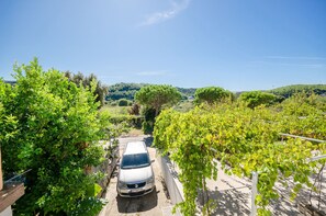 Εναέρια προβολή