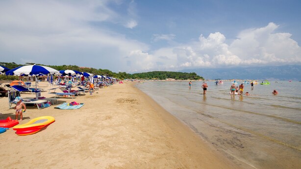 A beach with umbrellas, sun loungers, and people swimming. - Apartments Elvira (Lopar)