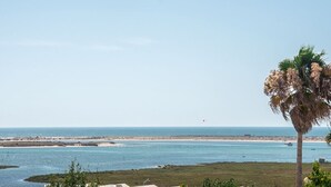 A coastal view with a palm tree, clear sky, and calm sea. - Stylish apartment with amazing views of the Ria Formosa & the sea in Fuseta. (Fuseta, Moncarapacho.)