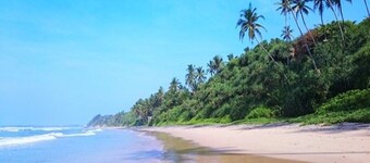 Surf Kingdom Marata Sri Lanka