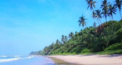 Surf Kingdom Marata Sri Lanka