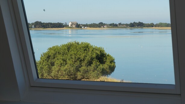 A view through a window of a lake with a house in the background and a bush in the foreground.