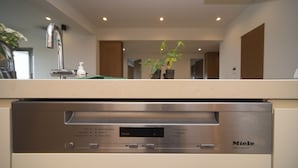 A modern kitchen with a stainless steel dishwasher, a sink, and a potted plant on the counter. - Onnason vacation rental K (Onna)