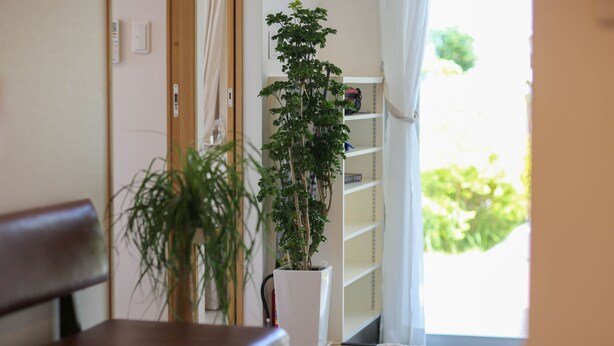Une pièce avec un banc en bois, une plante en pot, une étagère blanche et une vue sur la verdure à l’extérieur.