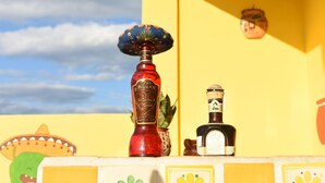 Food and drink - Cancun Guest House 5 (Cancún)