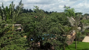 Zona de jardí pavimentada amb diverses plantes i arbres, una paret de pedra i un cel serè.