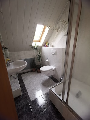 A bathroom with a skylight, a sink, a toilet, and a shower.