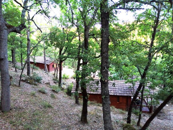 Overnattingsstedets uteområder