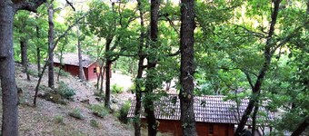 Chalet Saut du moine - fra 5 til 6 personer