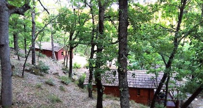 Chalet Saut du moine