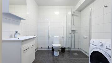 Studio Apartment Basement | Bathroom