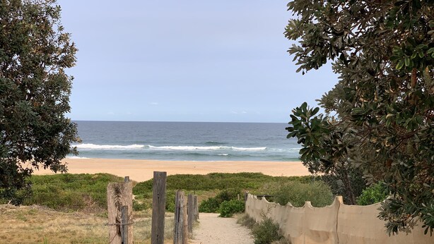 Un sentier de sable qui longe la plage et mène à l’océan, bordé de verdure et d’un mur en béton.