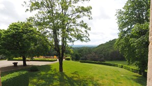 Un jardin bien entretenu, avec un arbre au centre, un chemin pavé et des haies soigneusement taillées.