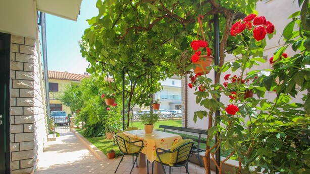 Apartment, 1 Bedroom | Terrace/patio - Alma (Novigrad)