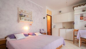 Studio (Apartment nr. 2) - Alma (Novigrad)