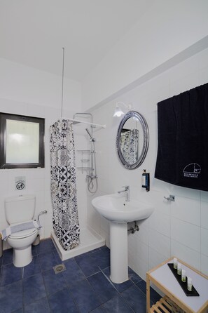 Shower, eco-friendly toiletries, hair dryer, towels