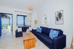 TV, lareira, livros, escritórios