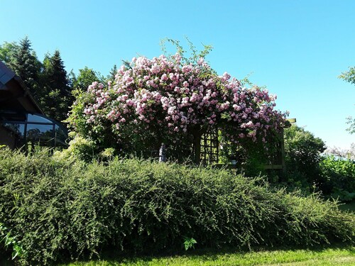 Ferienwohnung am Hufegraben - Maison de vacances