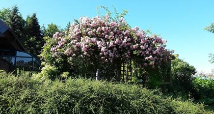 Ferienwohnung am Hufegraben - Maison de vacances
