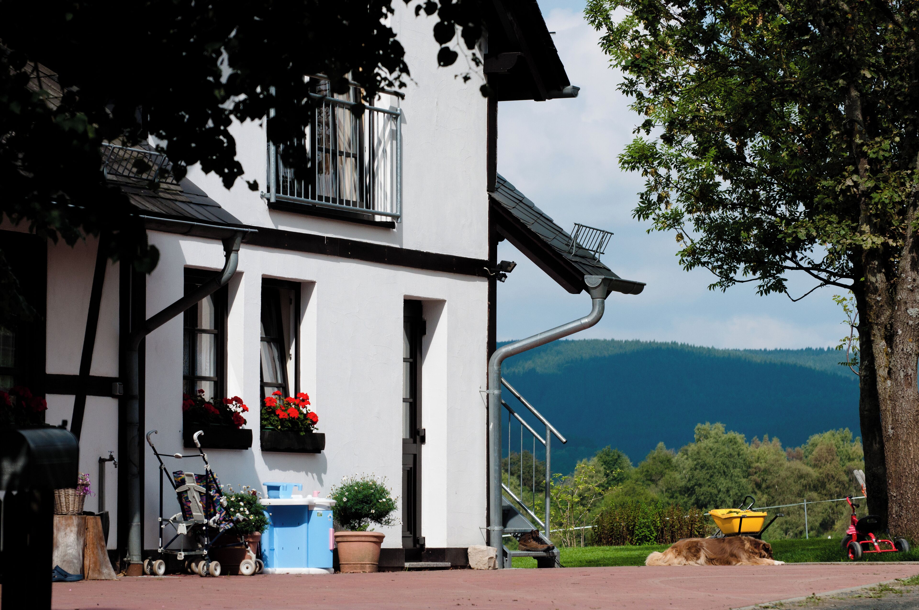 Meggis Farm Hofseite