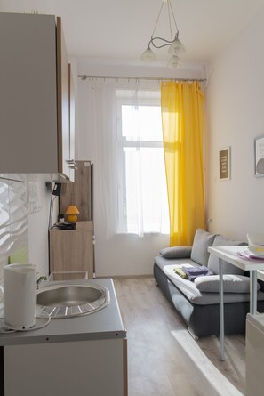 Standard Studio | Living area