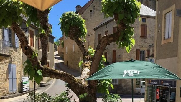 Un caffè all'aperto con tavoli e sedie sotto un grande albero, circondato da edifici.