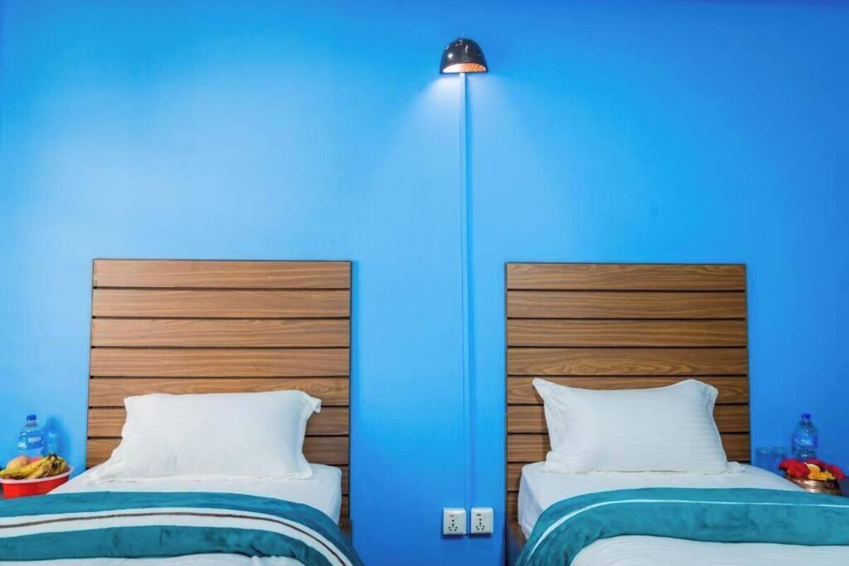 Une chambre avec deux lits, des têtes de lit en bois, un mur bleu, une seule lampe et une petite table sur laquelle se trouvent un panier de fruits et une bouteille d’eau.