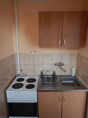 Basic Studio | Private kitchenette | Fridge, stovetop