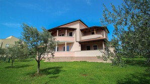 Exterior - David (Novigrad)